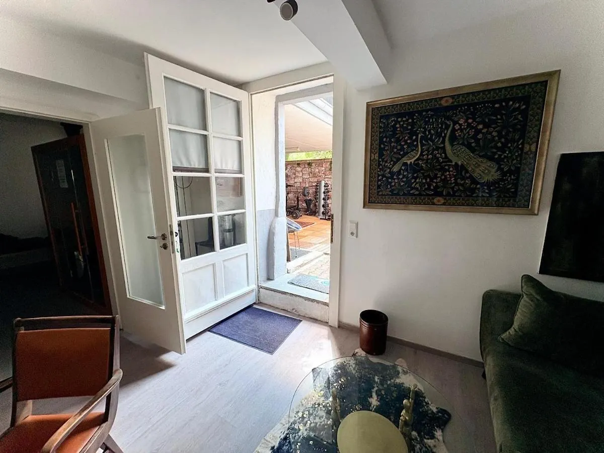 Apartment In Heidelberg'S Altstadt