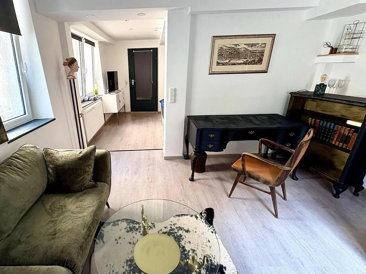 Apartment In Heidelberg'S Altstadt