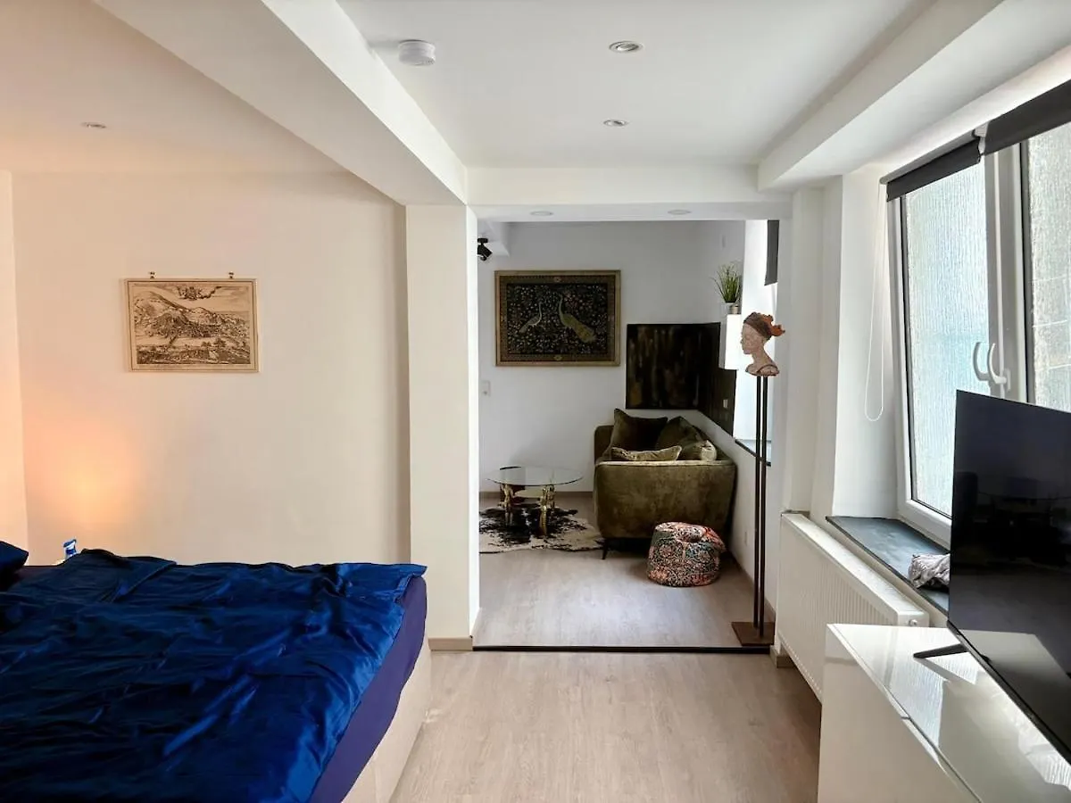 Apartment In Heidelberg'S Altstadt 0*, Heidelberg Germania
